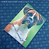 Boxer Magnetic Note Pad